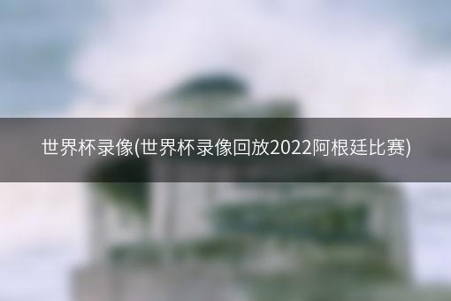 世界杯录像(世界杯录像回放2022阿根廷比赛)