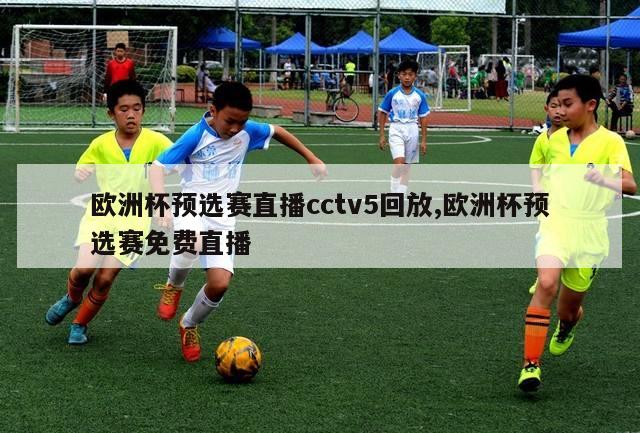 欧洲杯预选赛直播cctv5回放,欧洲杯预选赛免费直播