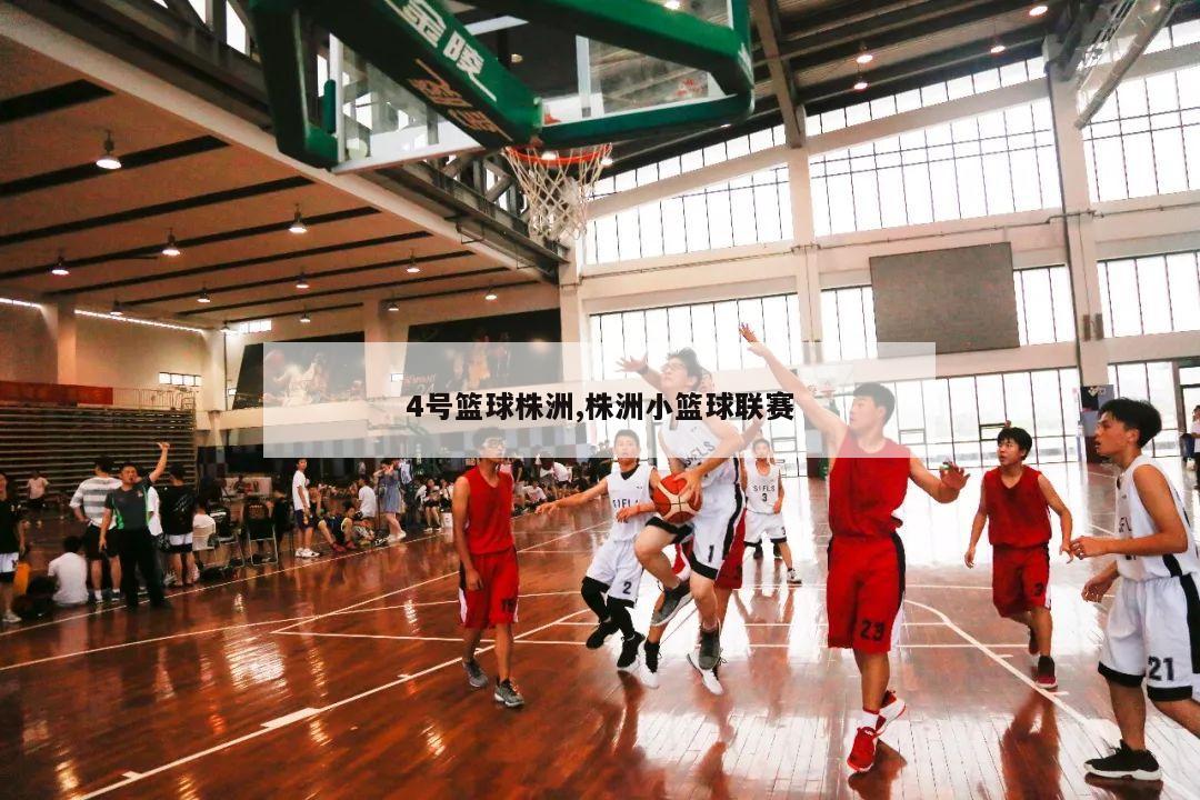 4号篮球株洲,株洲小篮球联赛