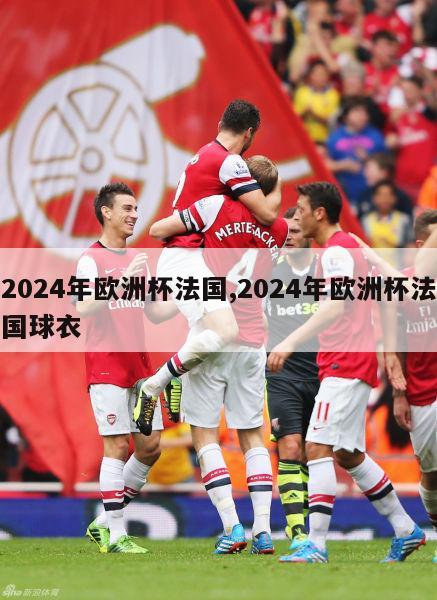 2024年欧洲杯法国,2024年欧洲杯法国球衣