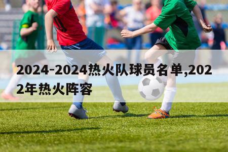 2024-2024热火队球员名单,2022年热火阵容