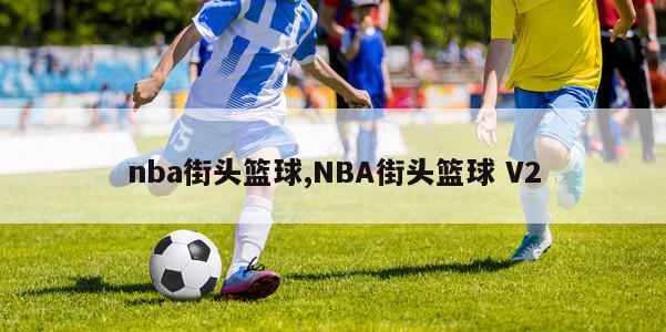 nba街头篮球,NBA街头篮球 V2