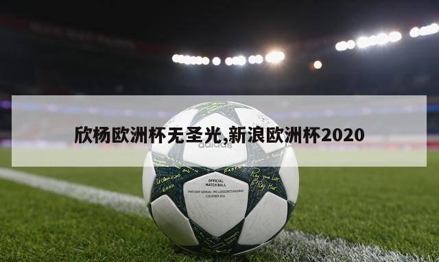 欣杨欧洲杯无圣光,新浪欧洲杯2020