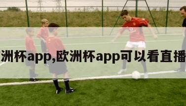 欧洲杯app,欧洲杯app可以看直播吧