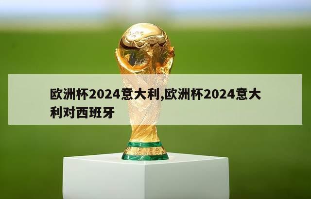 欧洲杯2024意大利,欧洲杯2024意大利对西班牙